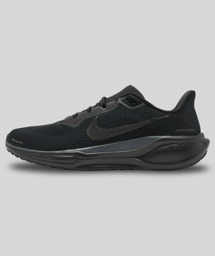 Nike Pegasus 41 Full Black
