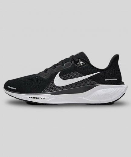 Nike Pegasus 41 White N Black