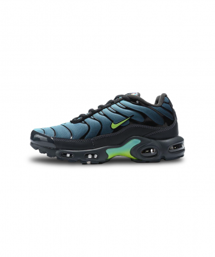 Nike Airmax Plus 17