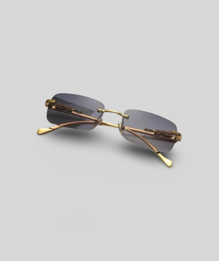 Sunglass Class -  17