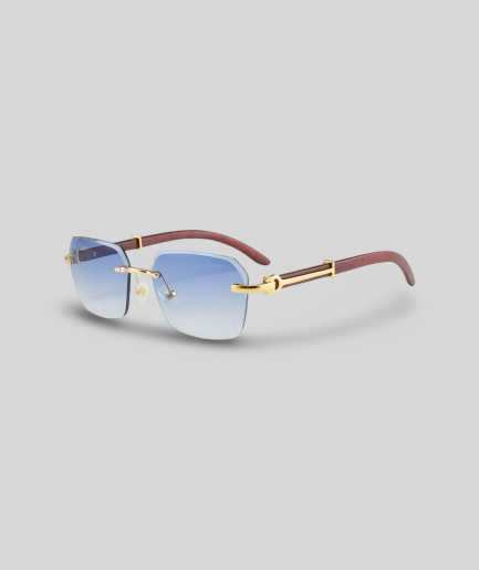 Sunglass Class -  19