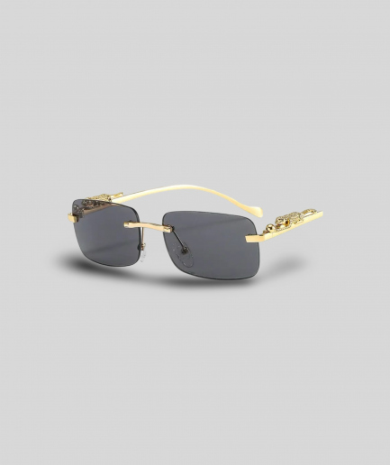 Sunglass Class -  18