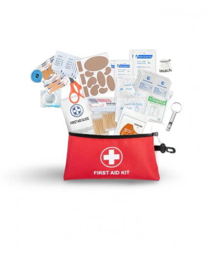 Mini First Aid Kit
