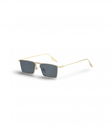 Sunglass Class - 23